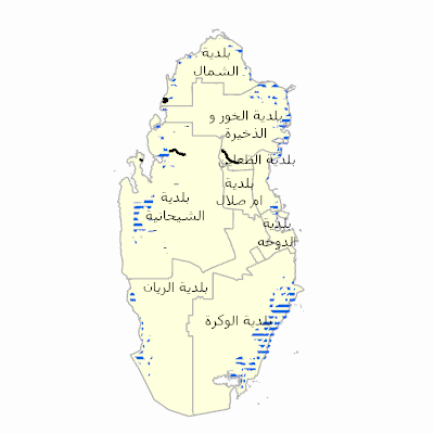 Export Image