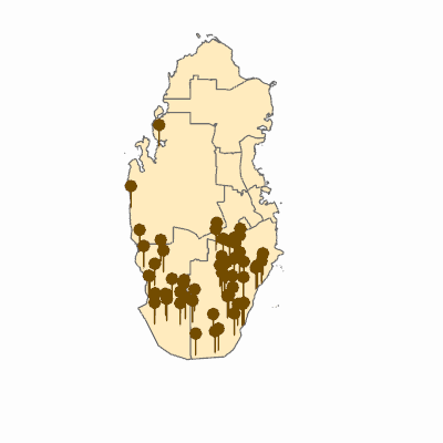 Export Image